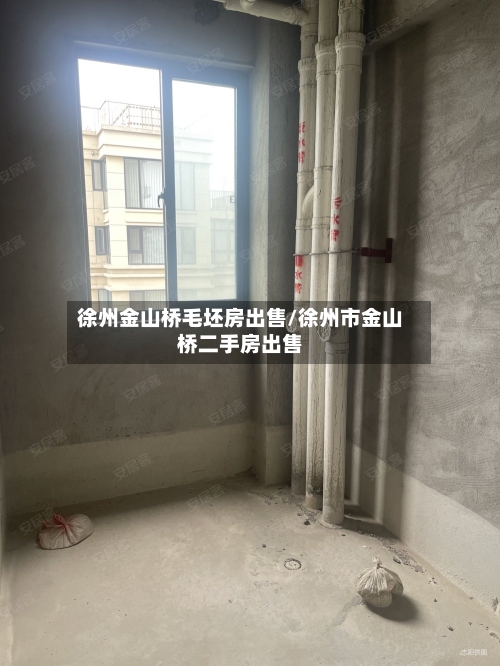 徐州金山桥毛坯房出售/徐州市金山桥二手房出售-第2张图片