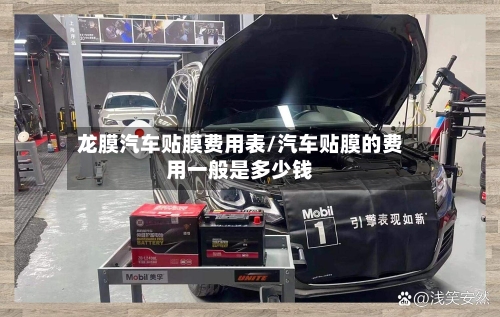 龙膜汽车贴膜费用表/汽车贴膜的费用一般是多少钱