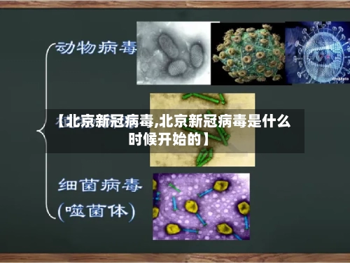 【北京新冠病毒,北京新冠病毒是什么时候开始的】-第2张图片