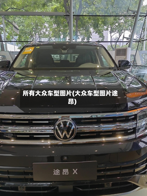 所有大众车型图片(大众车型图片途昂)-第2张图片