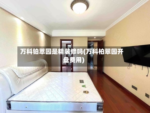万科铂萃园是精装修吗(万科柏翠园开盘费用)
