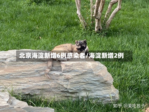 北京海淀新增6例感染者/海淀新增2例