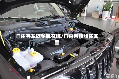 自由客车辆铭牌在哪/自由客铭牌在哪里