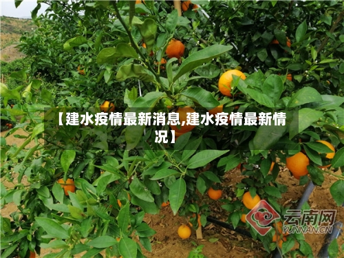 【建水疫情最新消息,建水疫情最新情况】-第3张图片