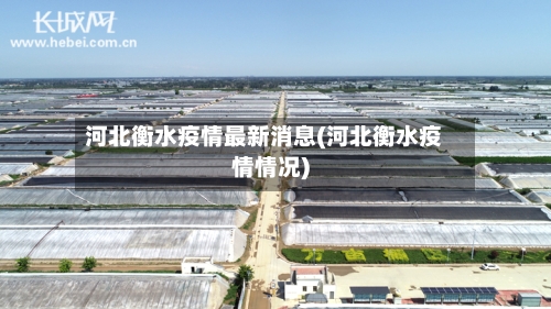 河北衡水疫情最新消息(河北衡水疫情情况)-第2张图片