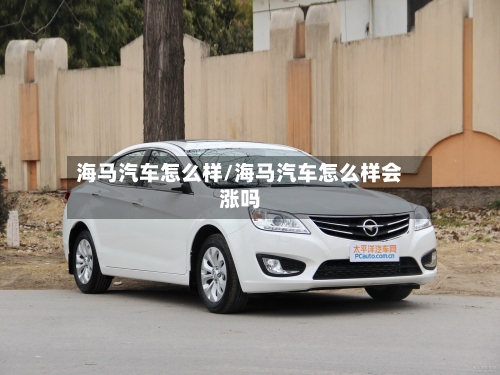 海马汽车怎么样/海马汽车怎么样会涨吗-第3张图片