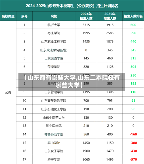 【山东都有哪些大学,山东二本院校有哪些大学】-第3张图片