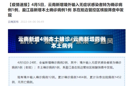 云南新增4例本土确诊/云南新增四例本土病例