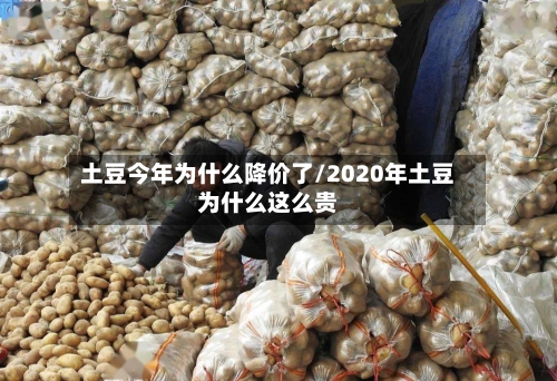 土豆今年为什么降价了/2020年土豆为什么这么贵-第3张图片
