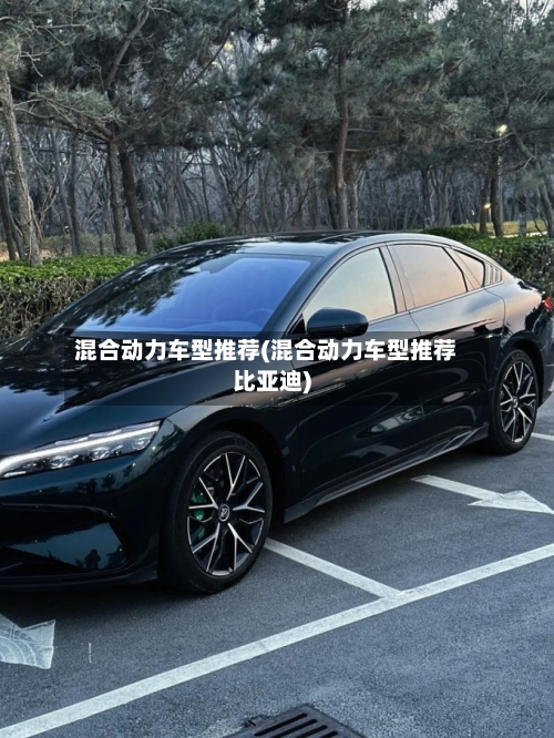 混合动力车型推荐(混合动力车型推荐比亚迪)-第3张图片