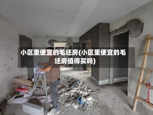 小区里便宜的毛坯房(小区里便宜的毛坯房值得买吗)