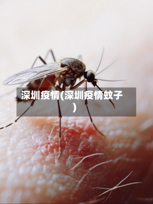 深圳疫情(深圳疫情蚊子)-第2张图片
