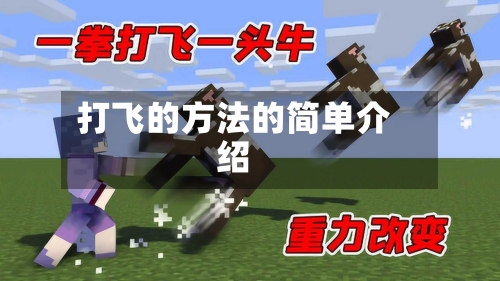 打飞的方法的简单介绍-第3张图片