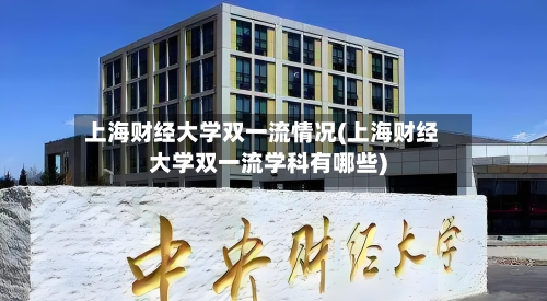 上海财经大学双一流情况(上海财经大学双一流学科有哪些)