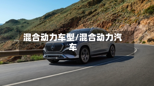混合动力车型/混合动力汽车-第2张图片