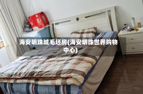 海安明珠城毛坯房(海安明珠世界购物中心)