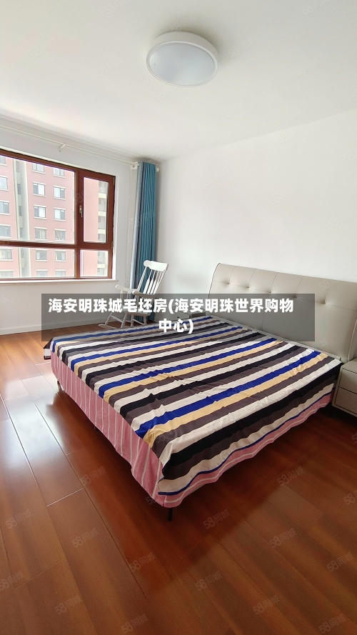 海安明珠城毛坯房(海安明珠世界购物中心)-第2张图片