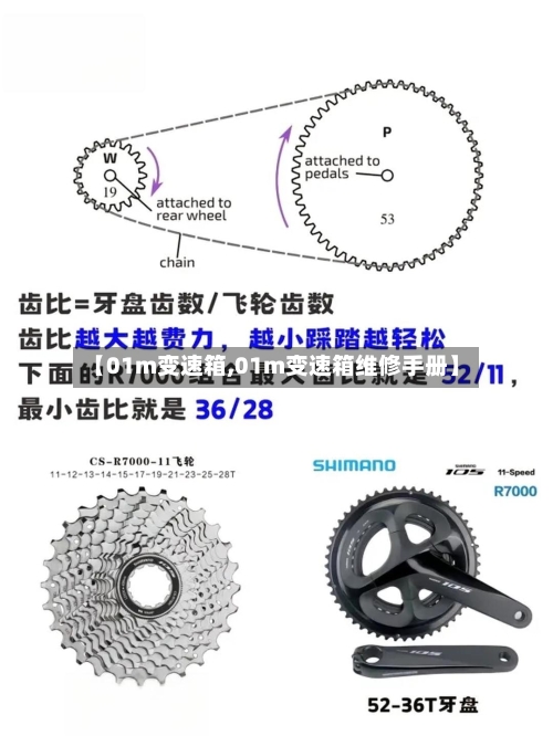【01m变速箱,01m变速箱维修手册】