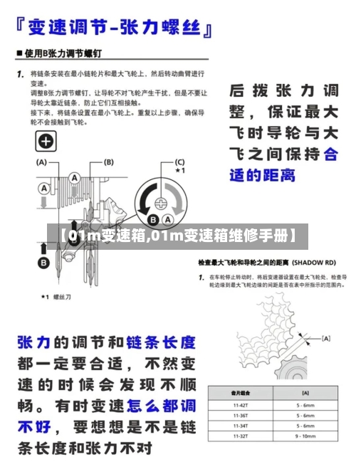 【01m变速箱,01m变速箱维修手册】-第3张图片