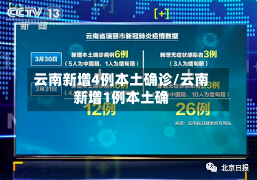云南新增4例本土确诊/云南新增1例本土确-第2张图片