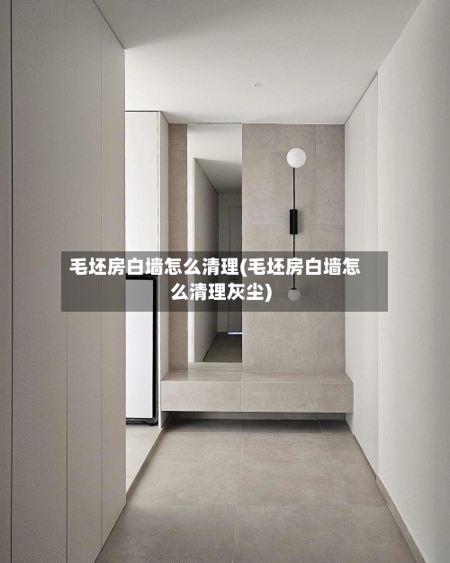 毛坯房白墙怎么清理(毛坯房白墙怎么清理灰尘)