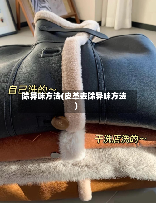除异味方法(皮革去除异味方法)